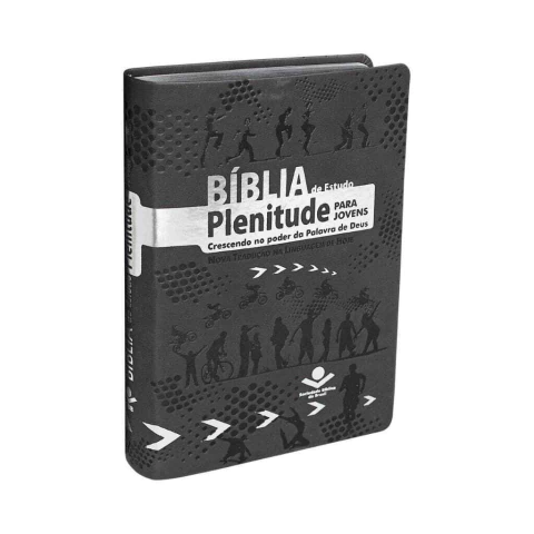 Bíblia de Estudo Plenitude Para Jovens Cinza NTLH