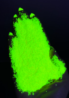 Y500 040