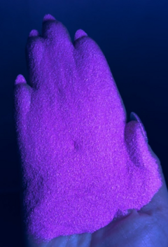 Y503 008