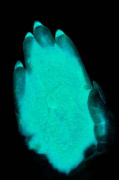 YGC01 008 (Glow in the dark)