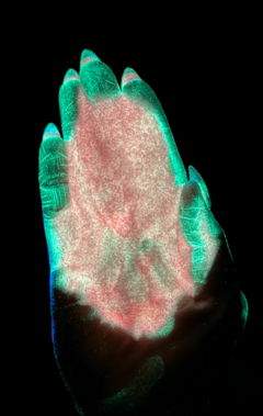 YGC05 008 (Glow in the dark)