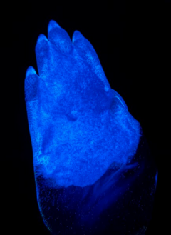 YGC04 008 (Glow in the dark)