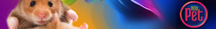 Banner de la categoría ROEDORES