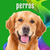 Banner de Newpet