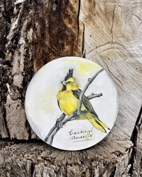 Cardenal amarillo macho 20 cm // 1 cm espesor - comprar online