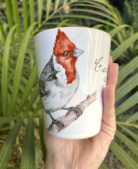 Cardenal copete rojo - Pre Venta - 20 días