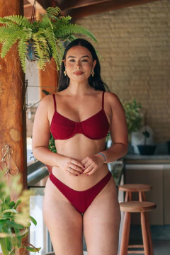 CALCINHA ASA DELTA FIO DUPLO MARSALA na internet