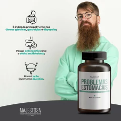 Problemas Estomacais - Espinheira Santa 500mg - comprar online