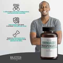 Aminoácido Indispensável - L-Lisina 500mg - comprar online