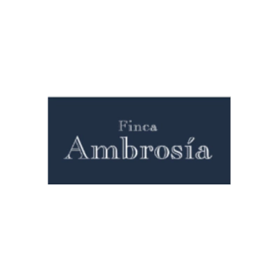 Marca 11 de La Viteca | Vinoteca Online en Buenos Aires |