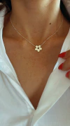 Collar FLORIPA.