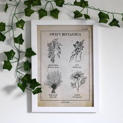 Pôster - Swift Botanica (Não comprar com outros produtos) - comprar online