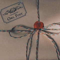 Caixa Temática - Wizarding Christmas Box
