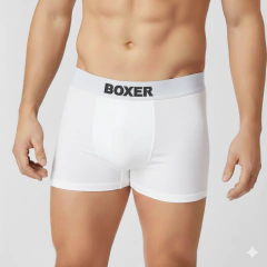 M046 - BOXER - PAPEL en internet