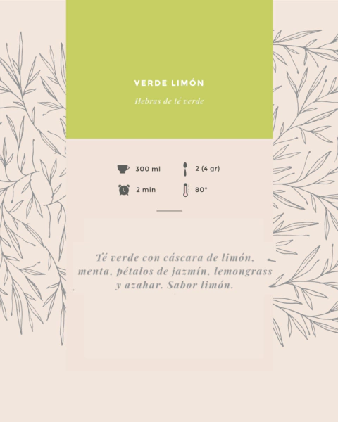 Vaso térmico 550 ml + 3 blends - comprar online