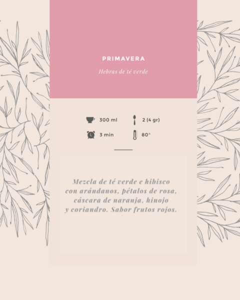 Vaso térmico con agarre de corcho 450 ml + 3 blends - comprar online