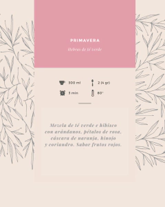 Vaso térmico 550 ml + 3 blends