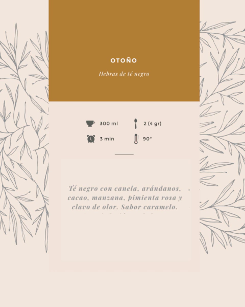 Vaso térmico 550 ml + 3 blends - comprar online