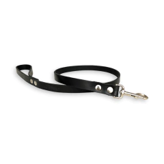 Correa Simona Negro en internet