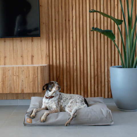 Cama para perros Soft Baxter - comprar online