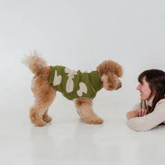 Imagen de Sweater Chester Verde - Beige