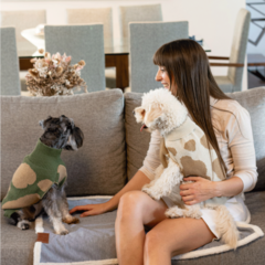 Sweater Chester Verde - Marrón - comprar online