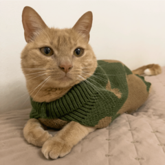 Imagen de Sweater Chester Verde - Marrón