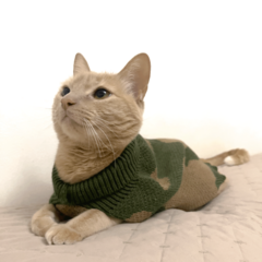 Sweater Chester Verde - Marrón