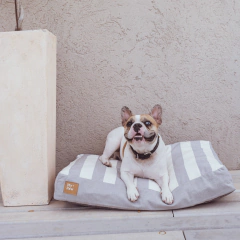 Cama para perros Soft Cooper - comprar online