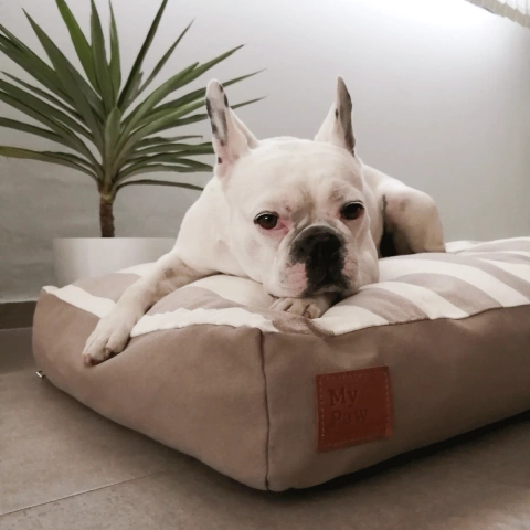 Cama para perros Soft Cooper - comprar online