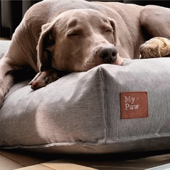 Cama para perros Soft Duke en internet