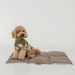 Sweater Chester Verde - Beige - comprar online