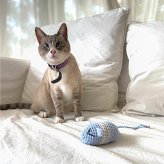 Juguete Remy Celeste y Blanco para gatos en internet