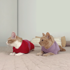 Sweater Kira - MyPaw