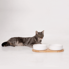 Bowl Joy - MyPaw
