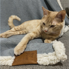 Manta para perros y gatos Oliver - comprar online