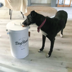 Imagen de Contenedor de Alimento para perros Milo
