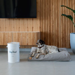 Contenedor de Alimento para perros Milo - tienda online