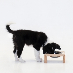 Comedero Baloo Individual Pino para perros y gatos - comprar online