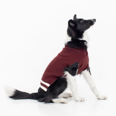 Sweater Ziggy en internet