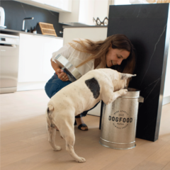 Contenedor de Alimento para perros Pepper en internet