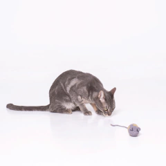 Juguete para gatos Remy - tienda online