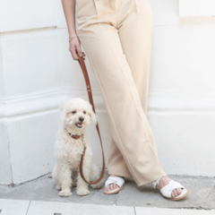 Correa Simona Cuoio - comprar online