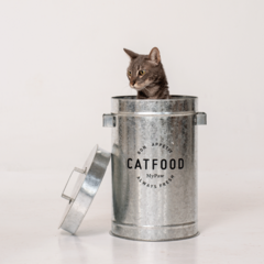 Contenedor de Alimento para gatos Stark - comprar online