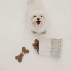 Contenedor de Juguetes Woody - MyPaw