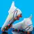 Chuteira e Tênis Speed Aura Cano Alto Infantil/Adulto - comprar online
