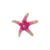 BROCHE ALFINETE ESTRELA DO MAR - REF 165926