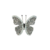 BROCHE MAGNÉTICO BORBOLETA MINI - REF 149166 - comprar online