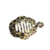 BANANA STAR FISH MÉDIA - REF 132753 - comprar online