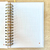Caderno Empreendedora da Luz | Barbara T. Prezia na internet